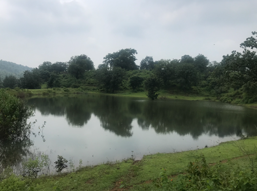 Ponds as an asset for agriculture how to keep them full TheWaterChannel