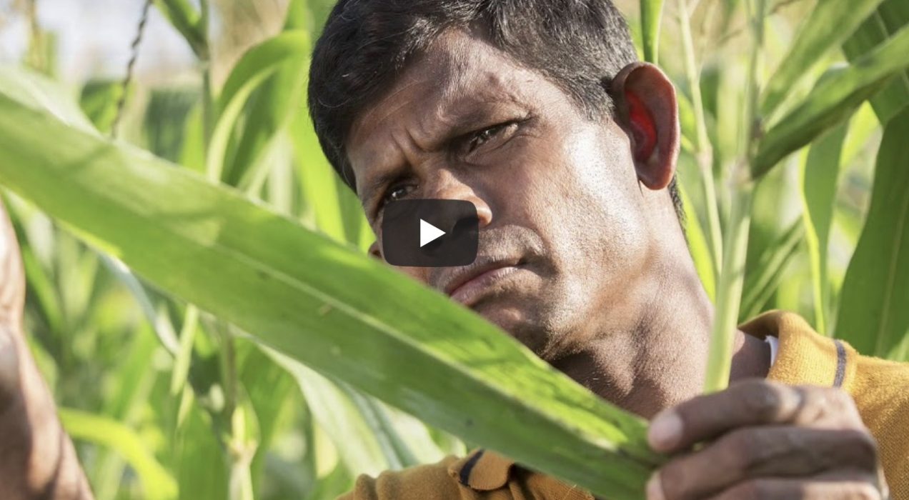 Hackathon 2019 Thewaterchannel