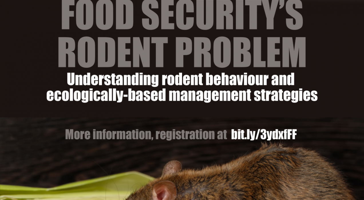 How to control rodents - in English - TheWaterChannel