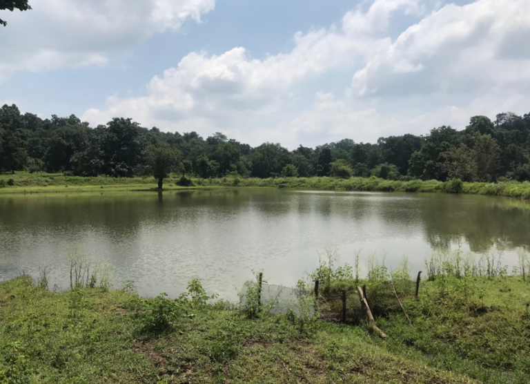 Ponds as an asset for agriculture how to keep them full TheWaterChannel