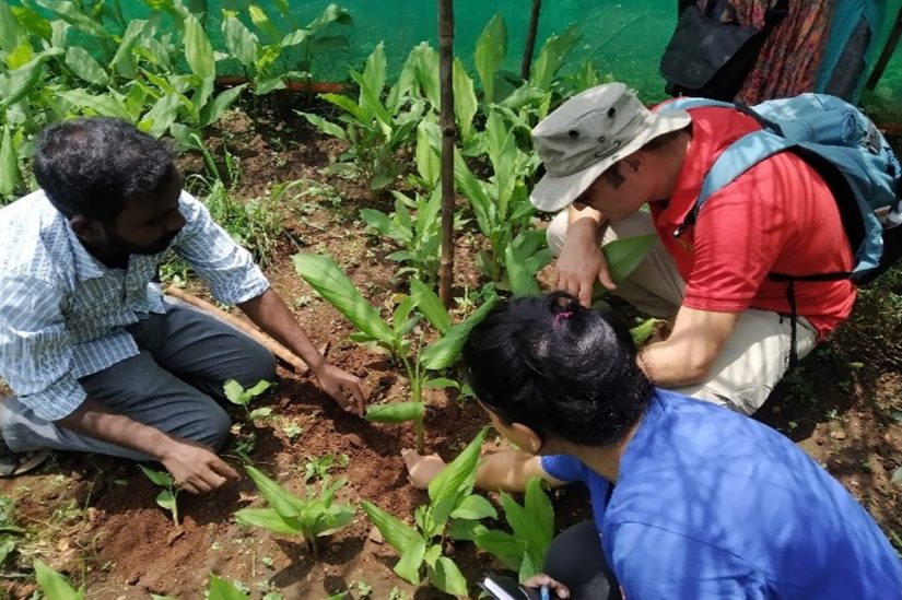 Down to Earth Understanding the regenerative agricultural practices