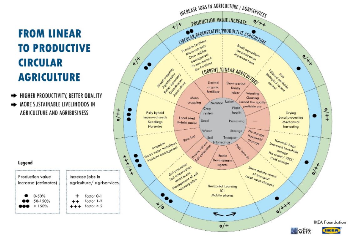 Down To Earth: Understanding The Regenerative Agricultural Practices ...