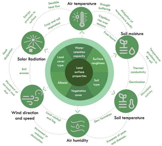 Consider the Microclimates of Your Home