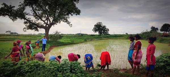 Tribals in Madhya Pradesh - Wikipedia