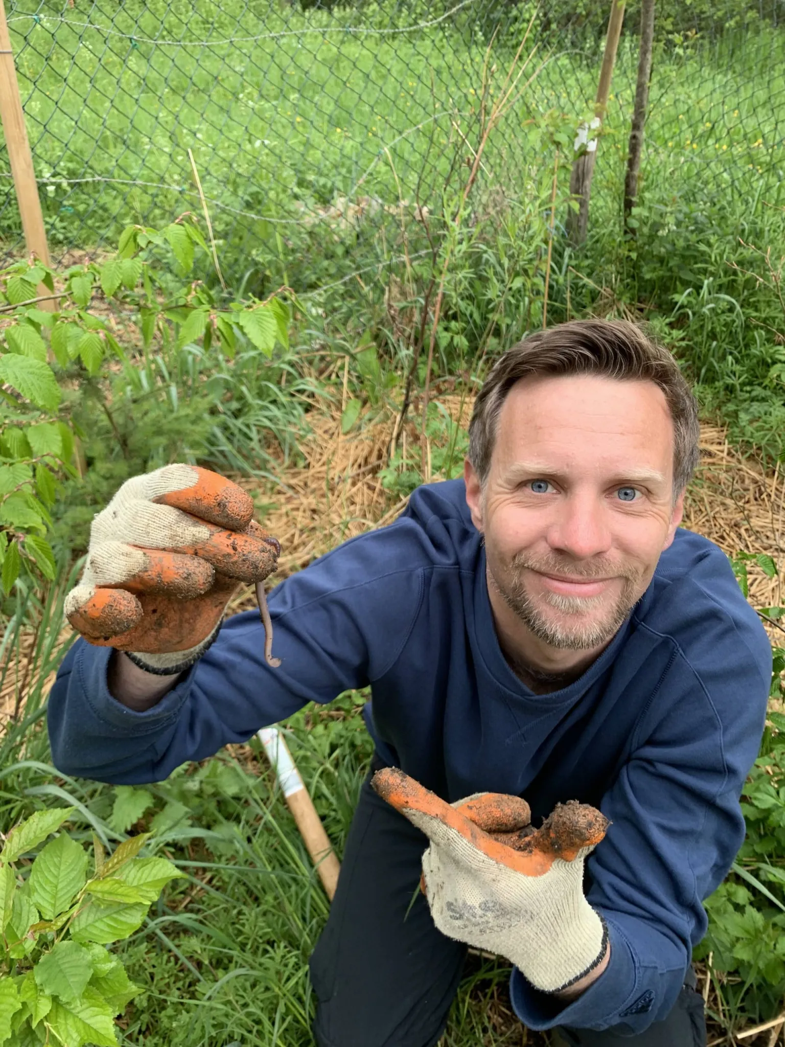 Why soil preparation is so important for your plantation? TheWaterChannel