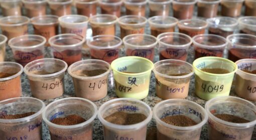 Soil samples in cups for laboratory analysis from Soils4Africa project