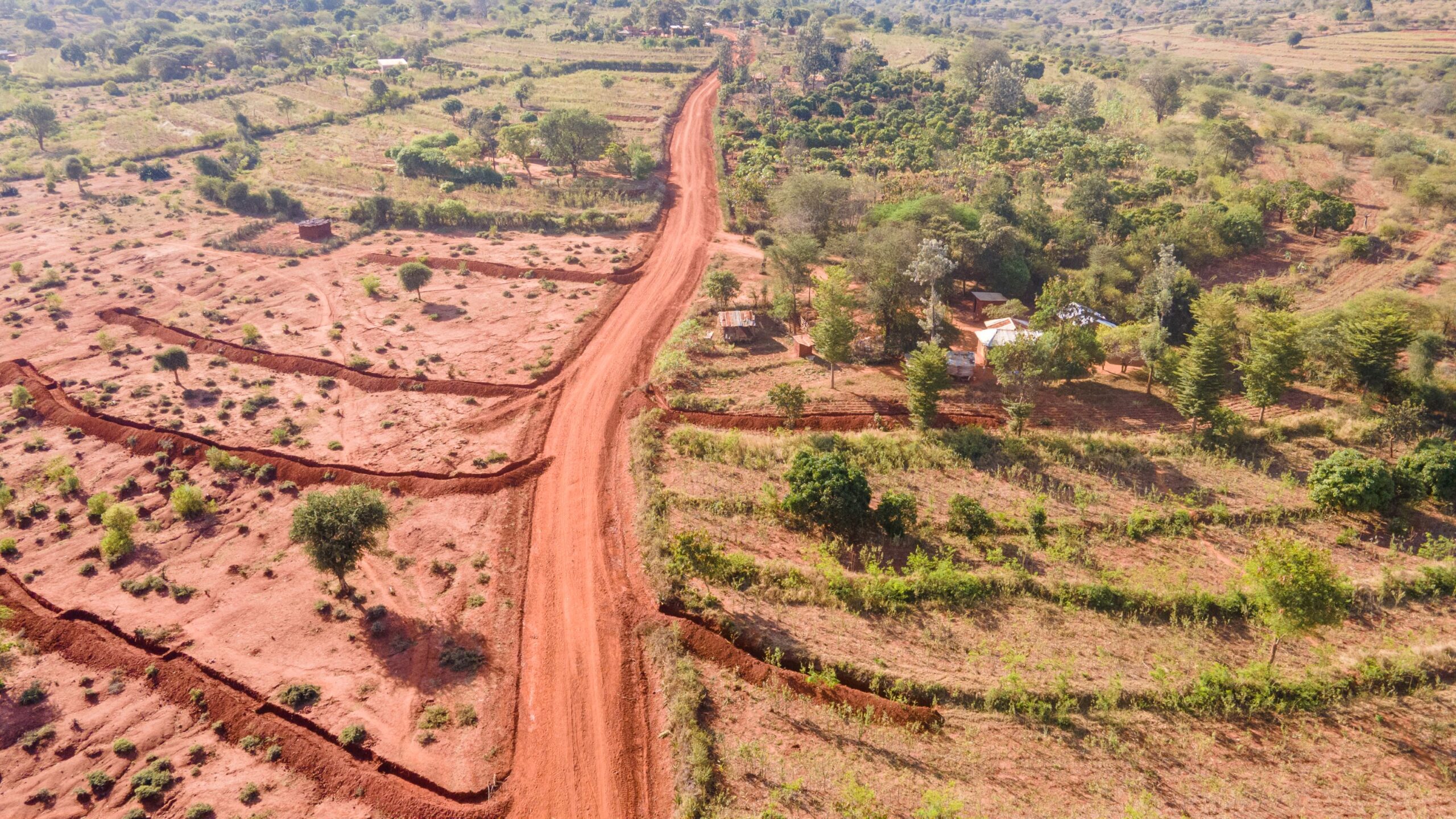 Road with orchards on the sides used to catch water, part of the Drain to Gain project in Makueni County