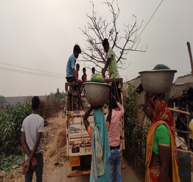 Tribal women of Keonjhar, India harvesting their watermelon