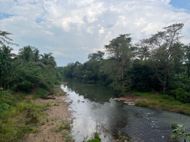 River in Sindhudurg with vegetation