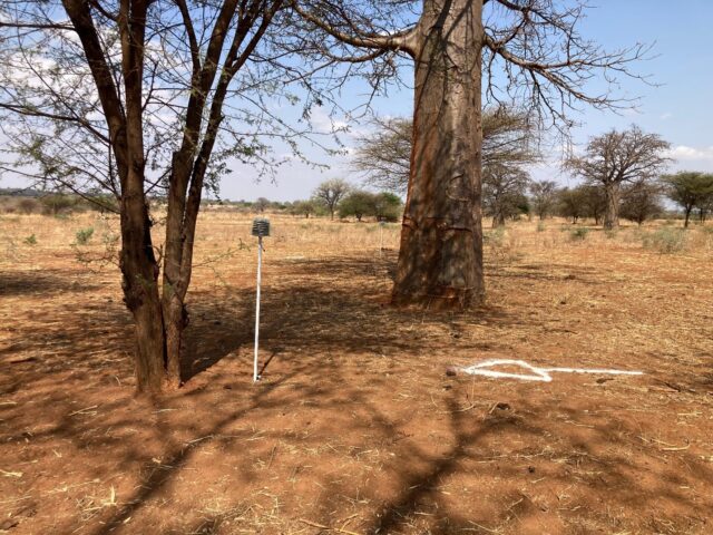 microclimate monitoring in Tanzania